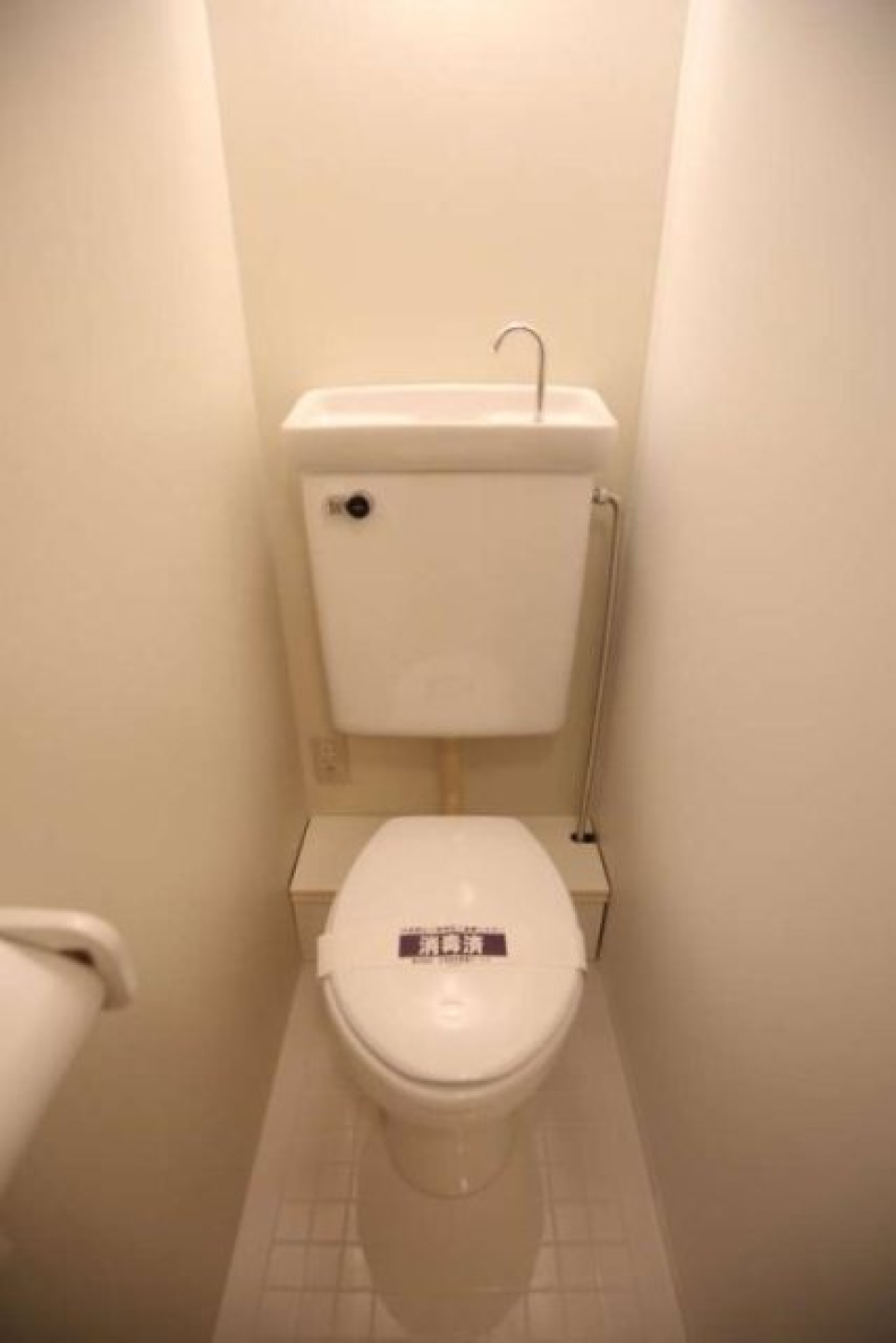 清潔感のあるトイレ。