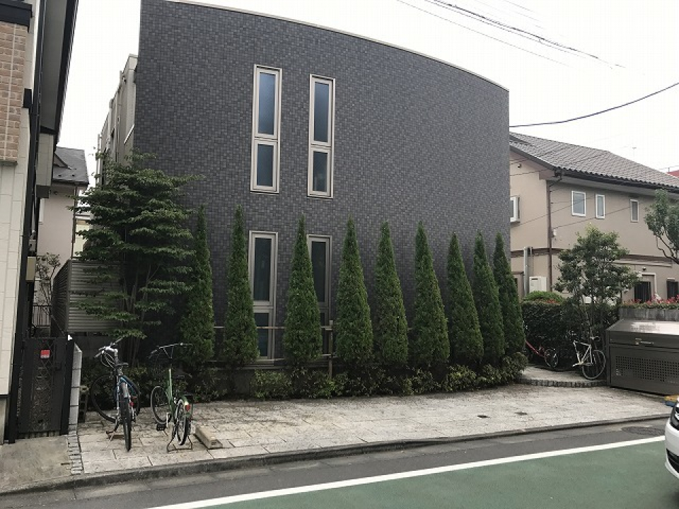 シンプルな外観と、かわいいツリーがマッチしています。