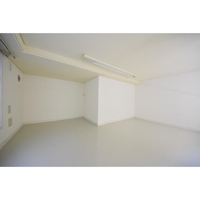 ロフトは4.5帖あり、充分な広さだと言えます。