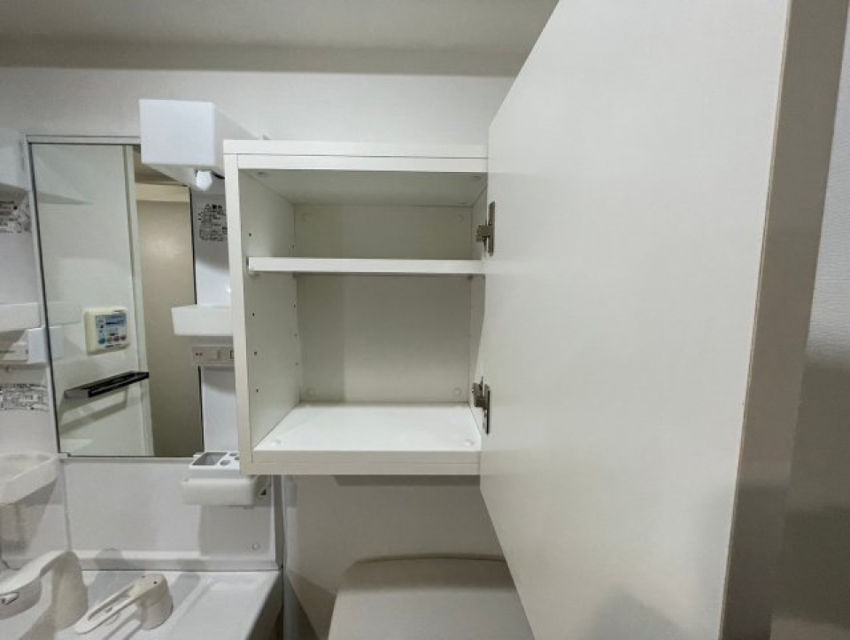 独立洗面台横、トイレ上の収納。