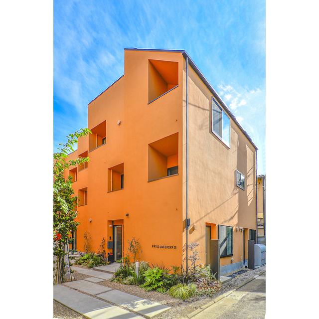 マンゴーみたいで美味しそうな外観！陽に当てられて輝いています。