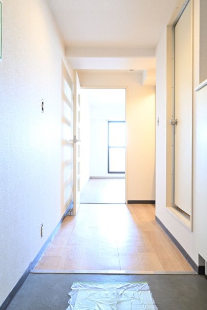 玄関からの景色。外が明るいと明るい気分になるね