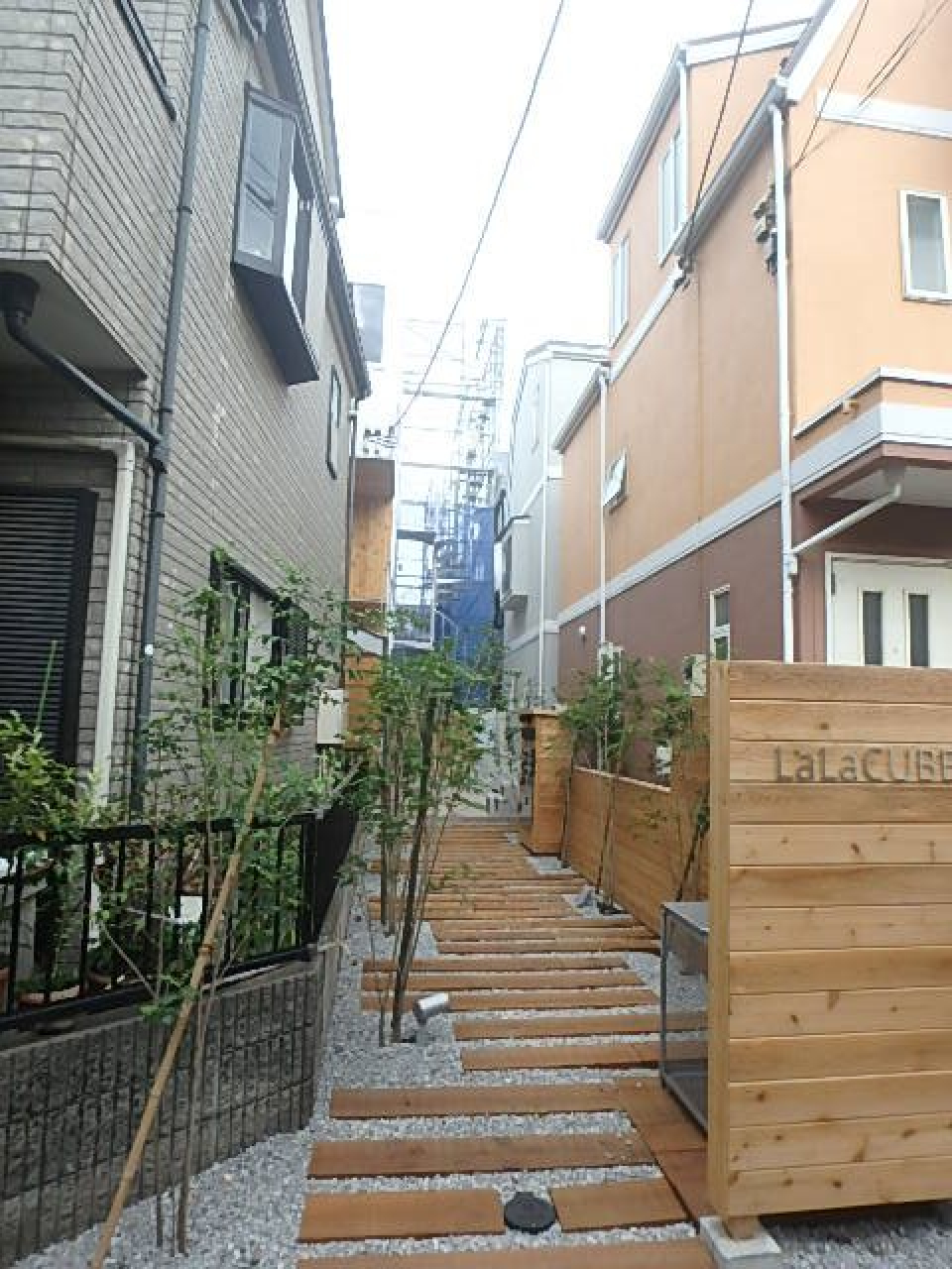 アプローチから心惹かれます