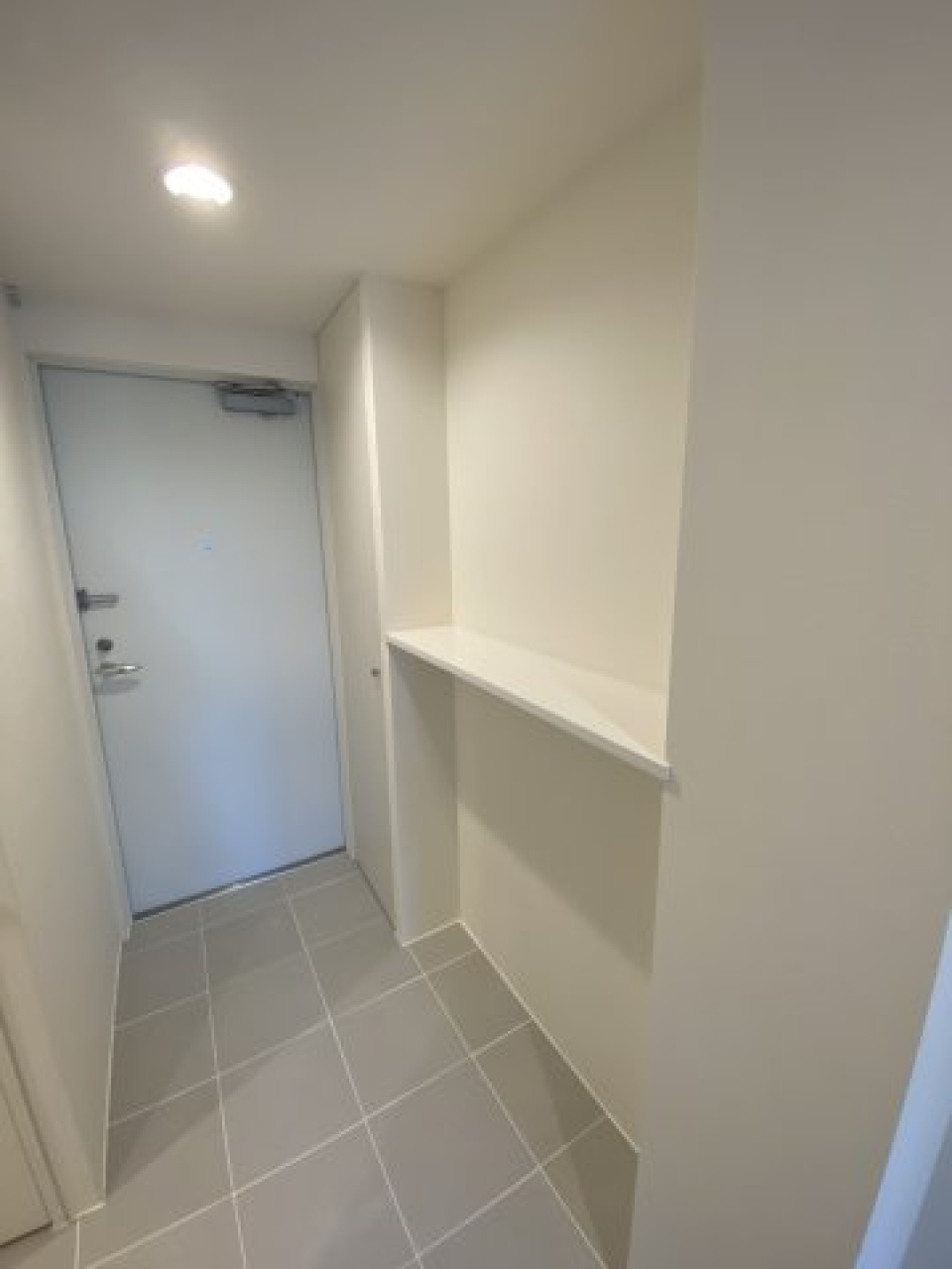 玄関のカウンターは鍵やカバンを置くだけでなく、植物や絵画などで装飾することもできます。