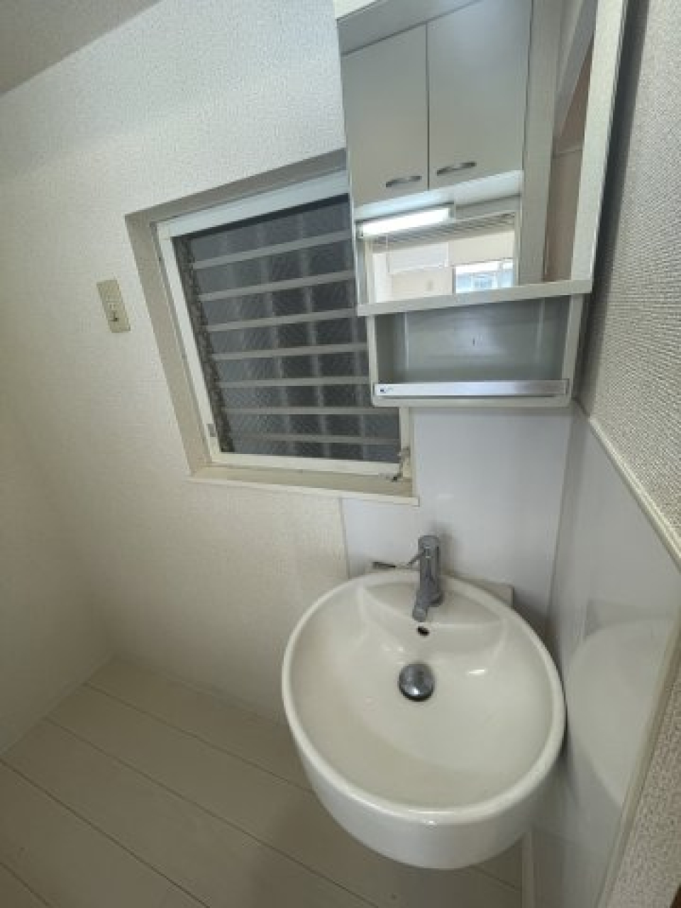 洗面ボウルが丸いです。