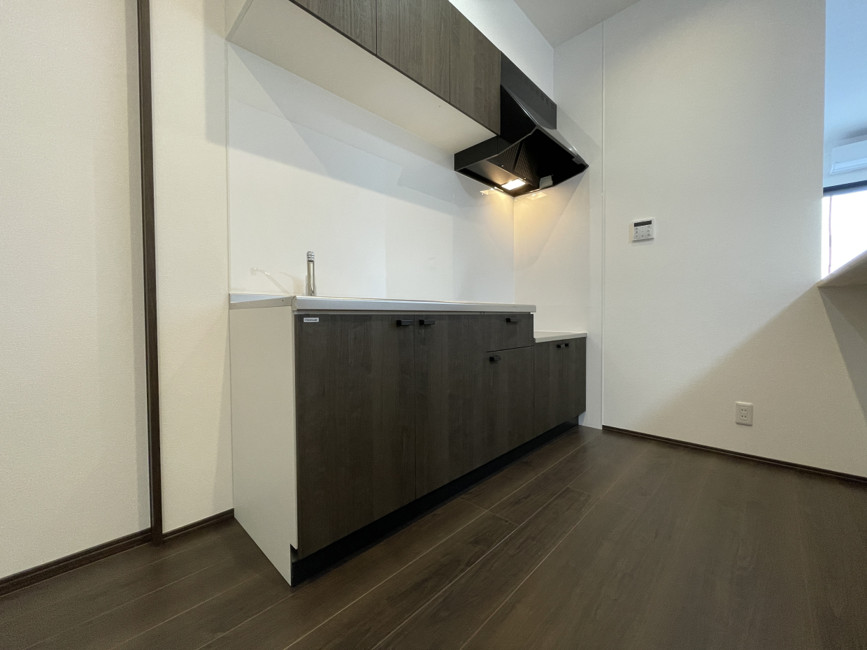 どうしてシステムキッチンじゃないんだ！(切実)