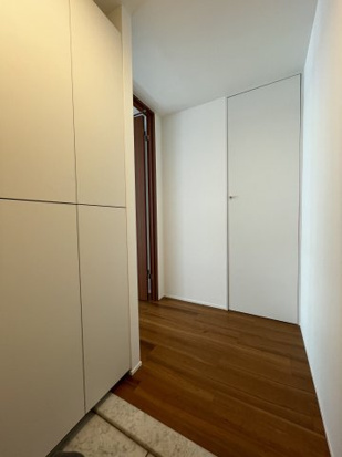 玄関の建具は壁に馴染むオフホワイトに