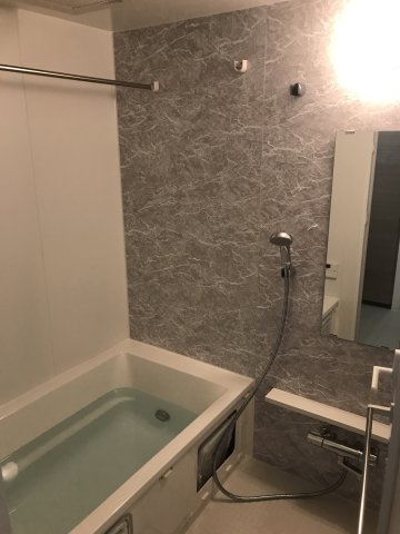 浴室のグレーベースのアクセントパネルがちょっとクール。