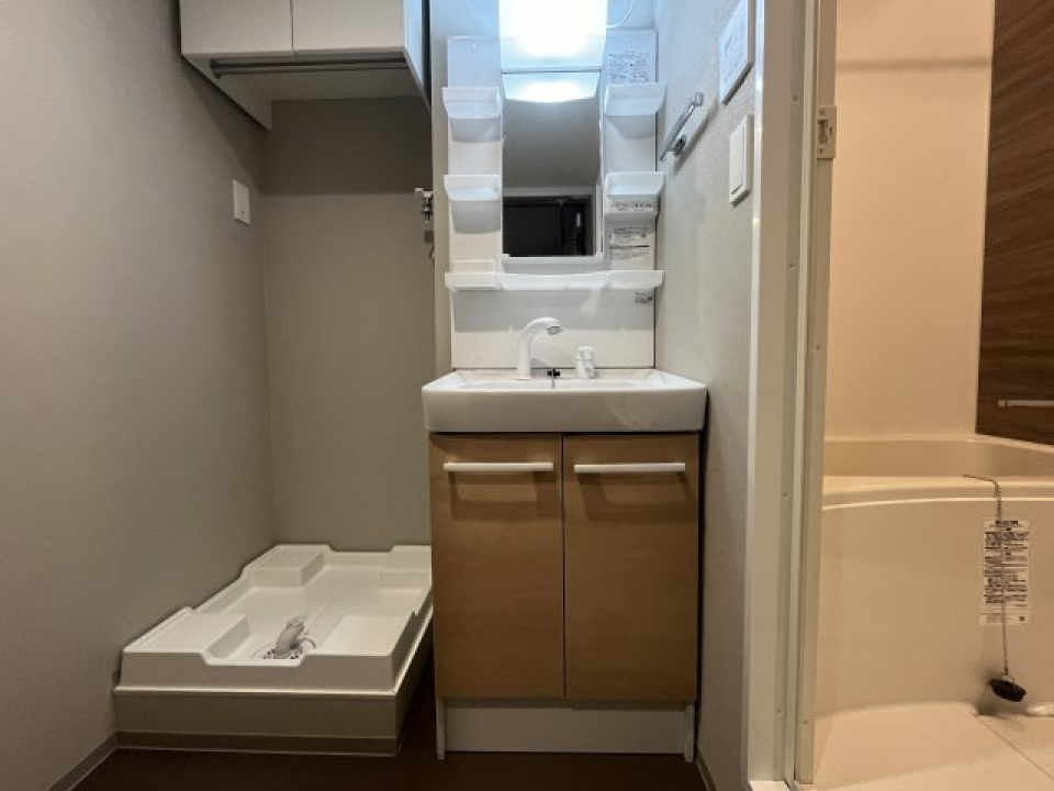 洗面台と洗濯機置き場。上に収納があるから洗剤はここに。