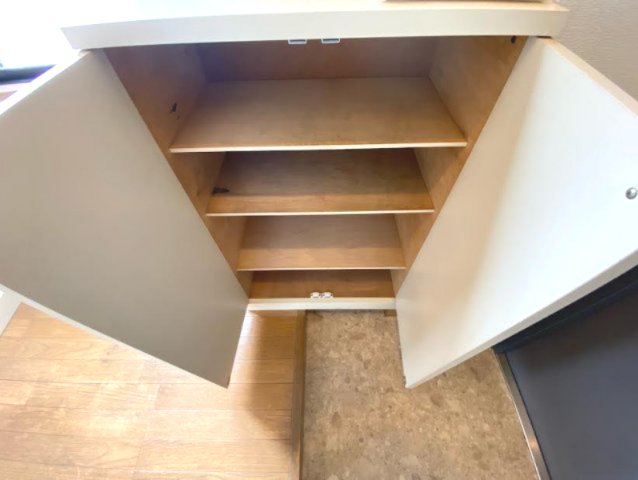１人暮らしにはちょうどいいぐらいの容量のシューズボックスです。