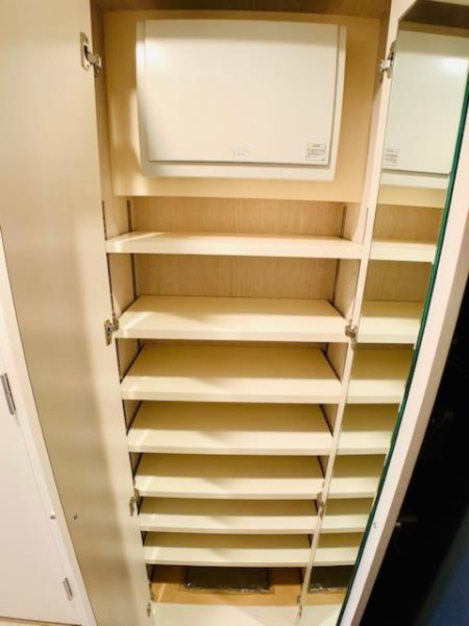 1人暮らしには十分な要領のシューズボックス。