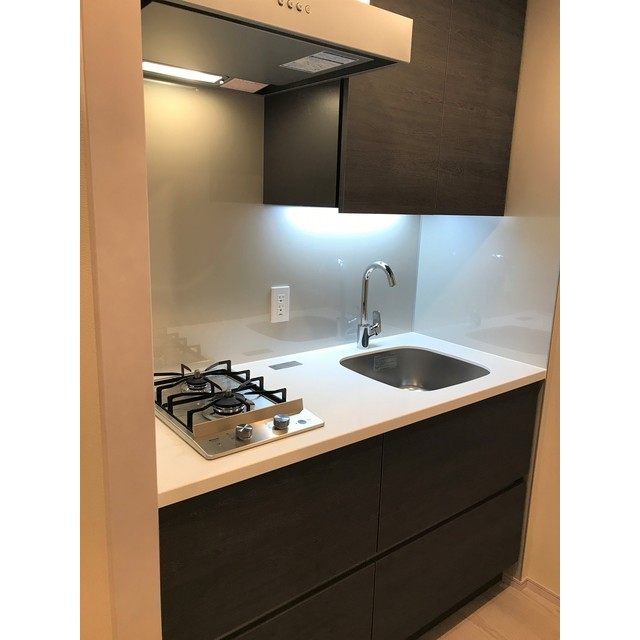 シンクは蛇口からオシャレ。2口コンロのシステムキッチンです。（2022.4.15撮影）