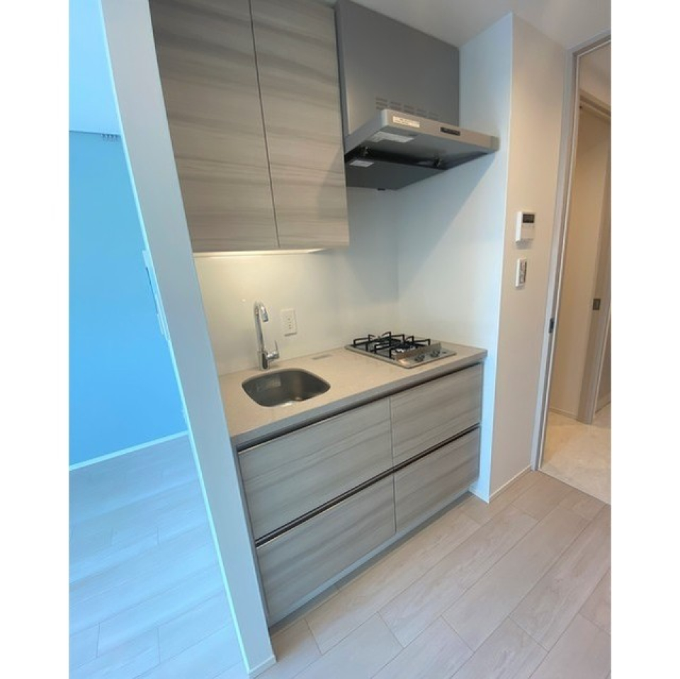 2口ガスコンロのシステムキッチン。インテリアを邪魔しないお部屋に馴染んだデザインです。
2024.03.16撮影