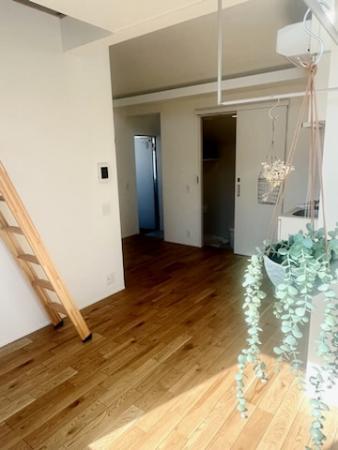 付属のパイプは室内干しに最適ですが、植物を吊るして楽しむことも！