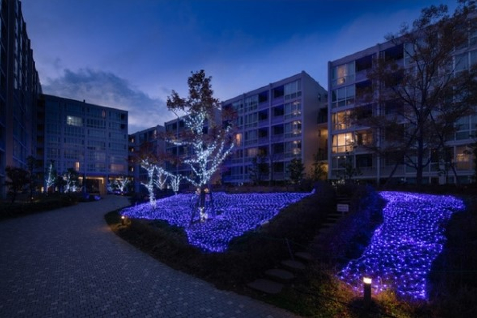 敷地内でイルミネーションが楽しめます