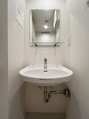 洗面ボウルのみ、収納なし