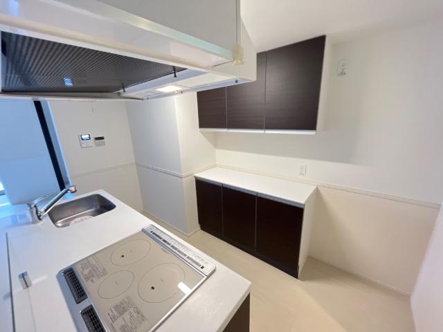 背後には収納棚もあります