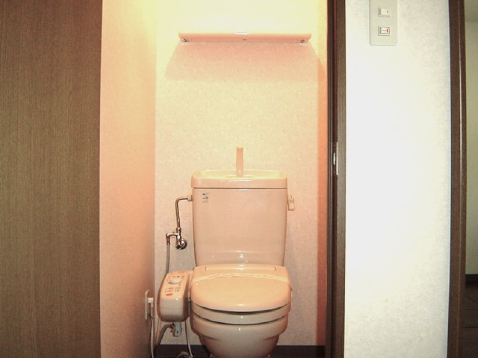 トイレもちょっとした棚付き。