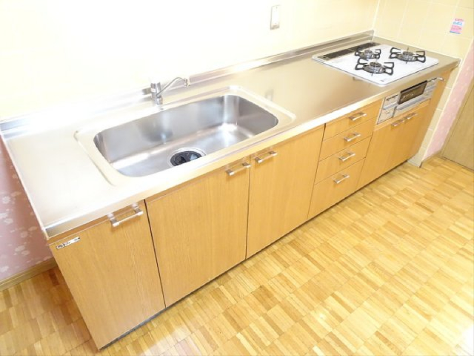 こんな広々キッチンでスペイン料理を作ってみたい。