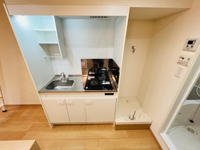 写真は反転タイプ