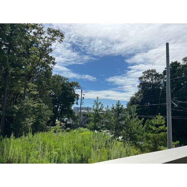 バルコニーからの眺望