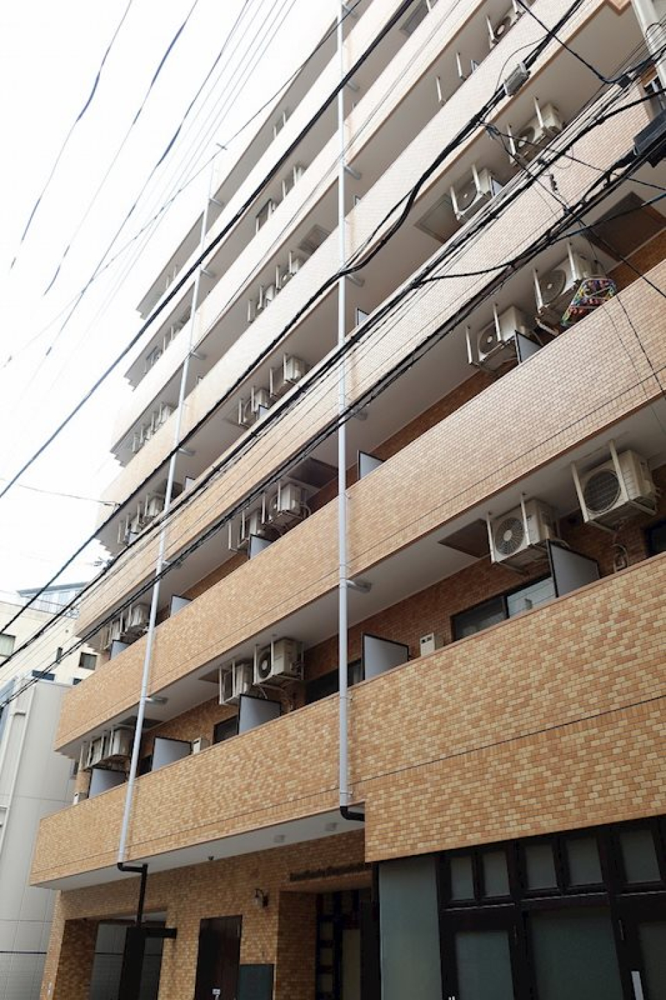 どっしりとした外観