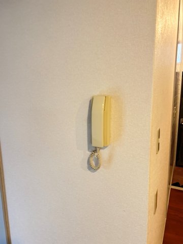 モニタ付インターホンに変わります。