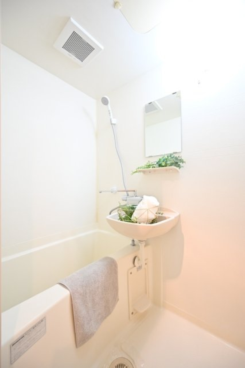 ※家具・小物はイメージです