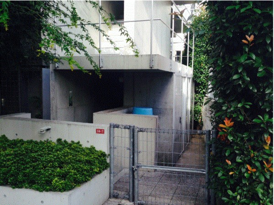 映画の冒頭、これからストーリーが始まるときの景色みたい。