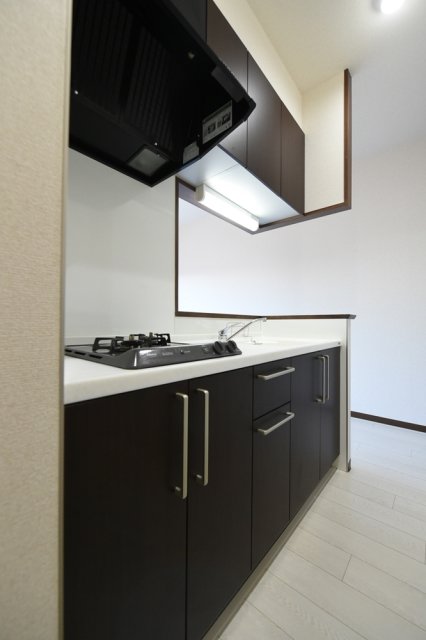 システムキッチン（2口ガスコンロ）