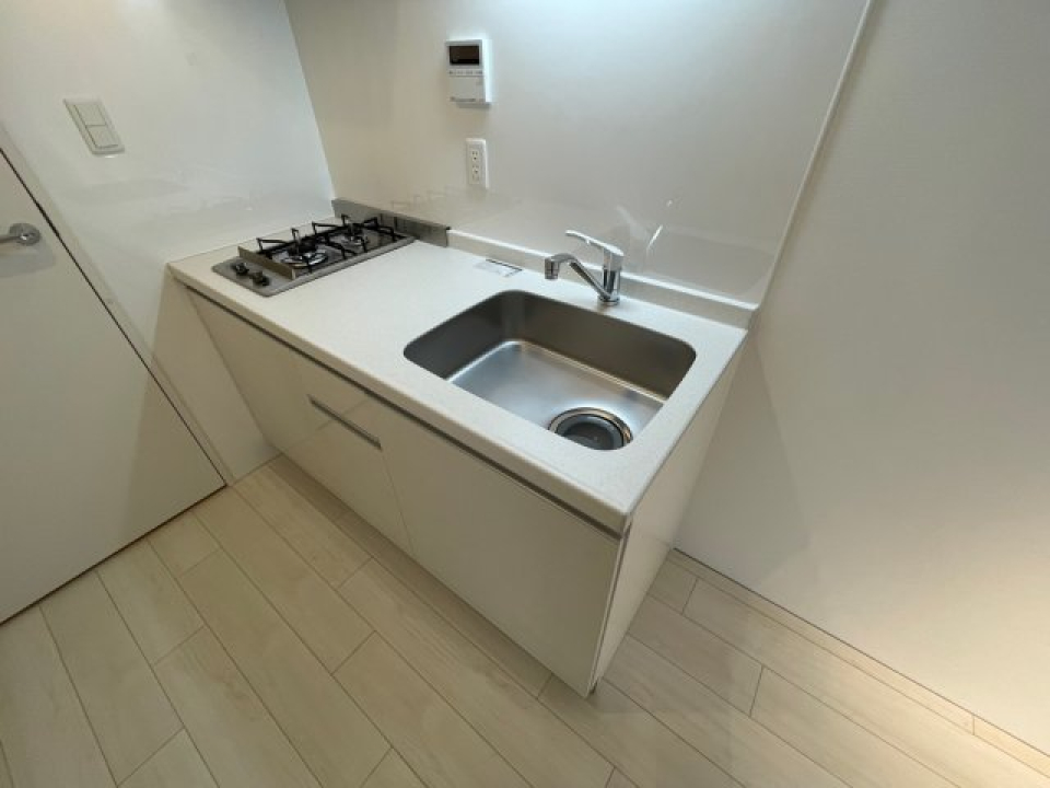 収納もしっかりあるタイプのキッチンです。