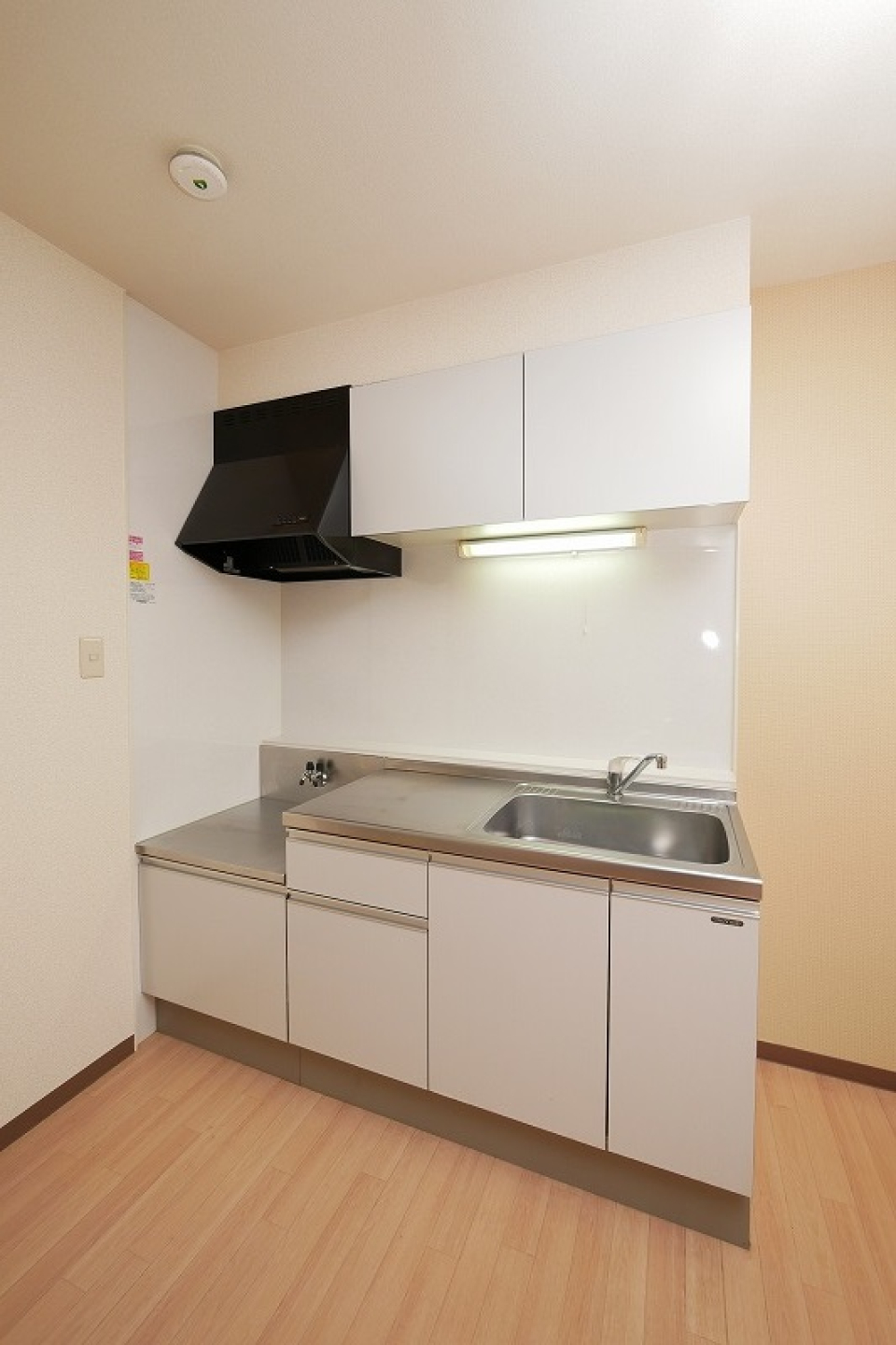 グリーンビュー祇園205号室　　 