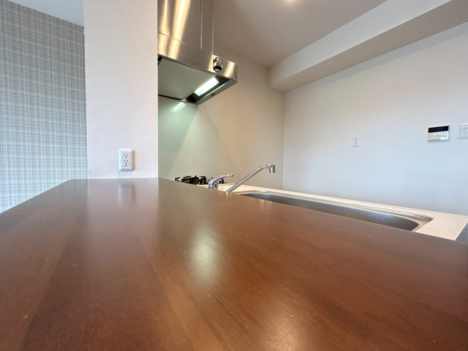 カウンターにお皿を並べて