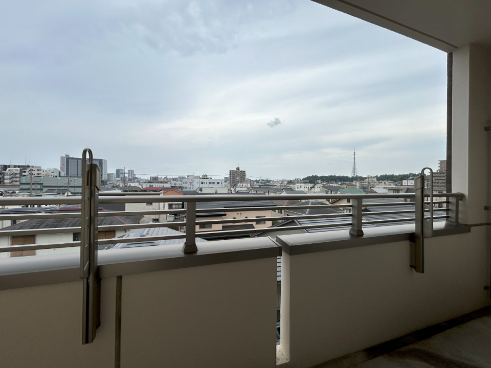 浜松の街中を望みます