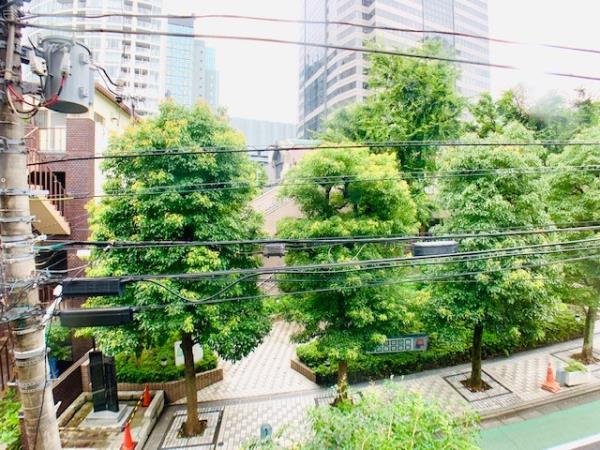 お向かいの緑が癒してくれます。