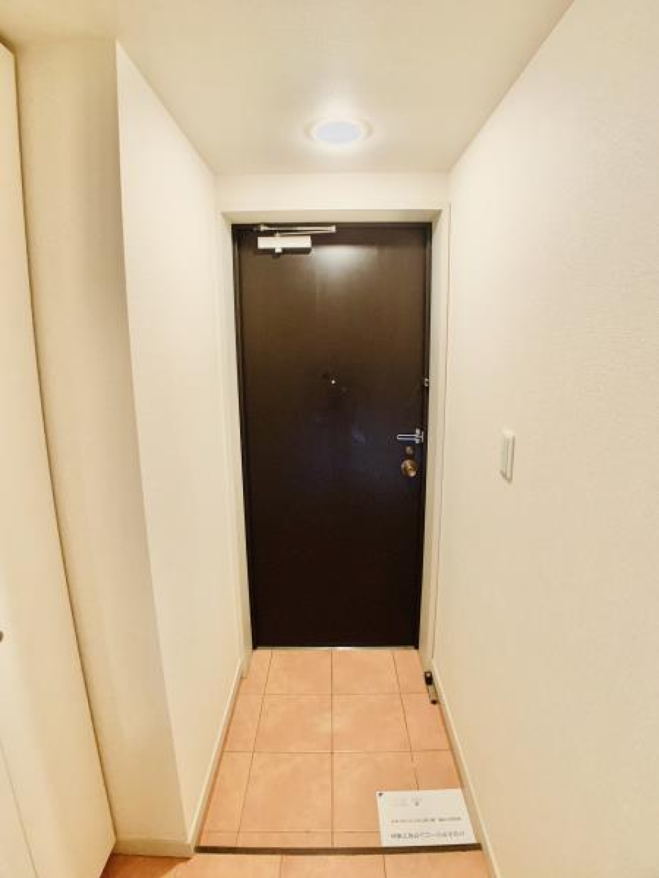 玄関はコンパクトなので、便利グッズを活用しましょう。