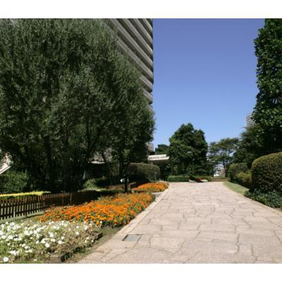 お散歩も楽しくなりそうな、綺麗に整備された道。