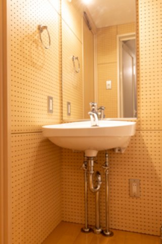 パウダールームも木のぬくもり感じる仕様。※写真は同タイプ住戸です。