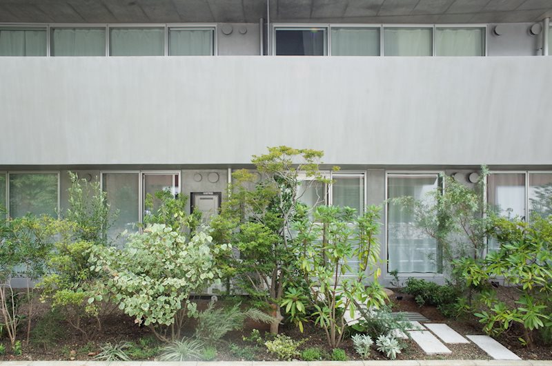 敷地内の植栽も素敵&hellip;