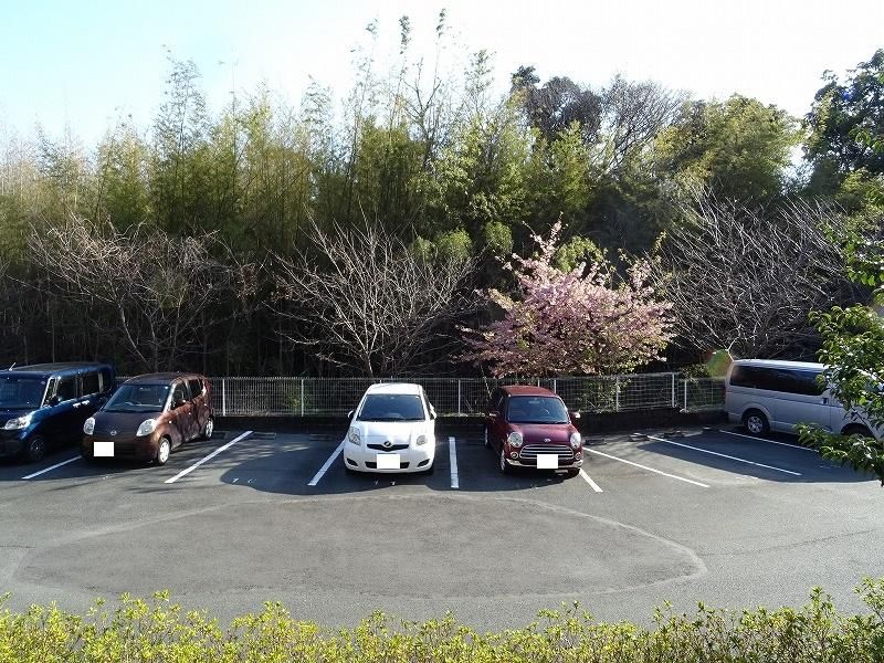 自然に囲まれた場所です。