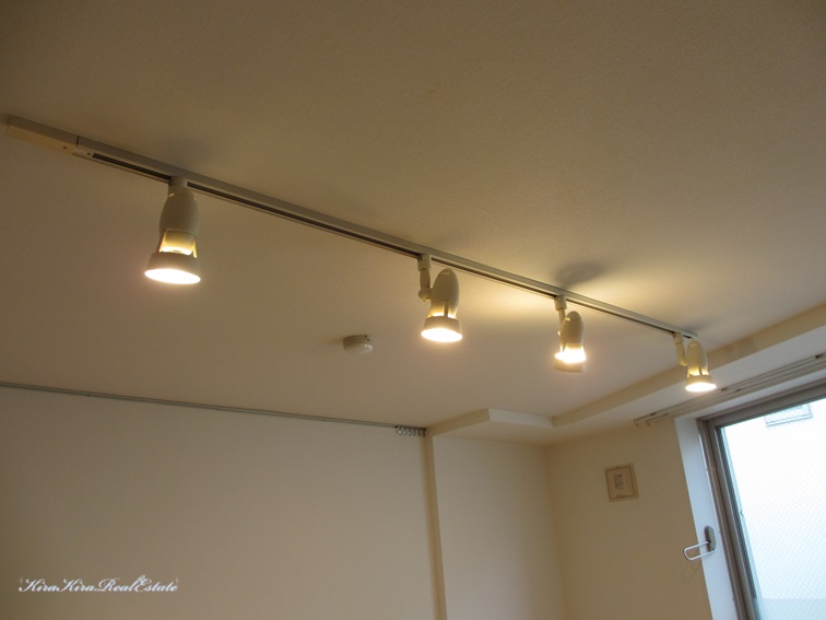 ライティングレールなので、位置を変えることもできます。