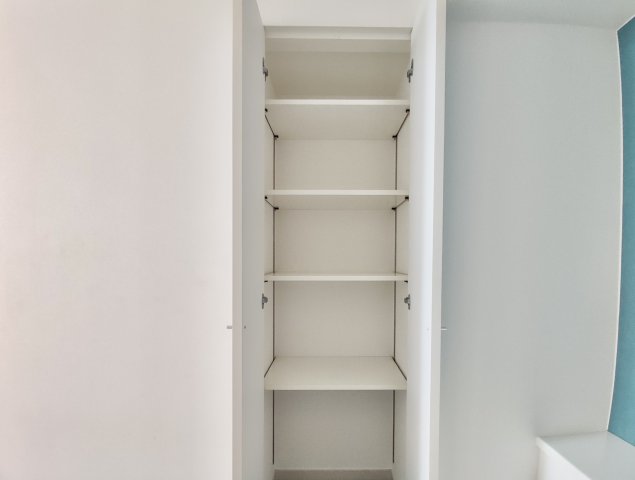 居室奥の緑の壁の手前にも収納がありました！