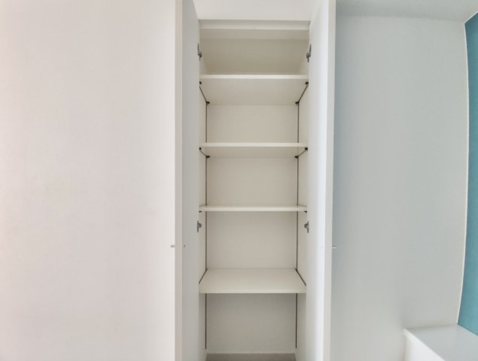 居室奥の緑の壁の手前にも収納がありました！