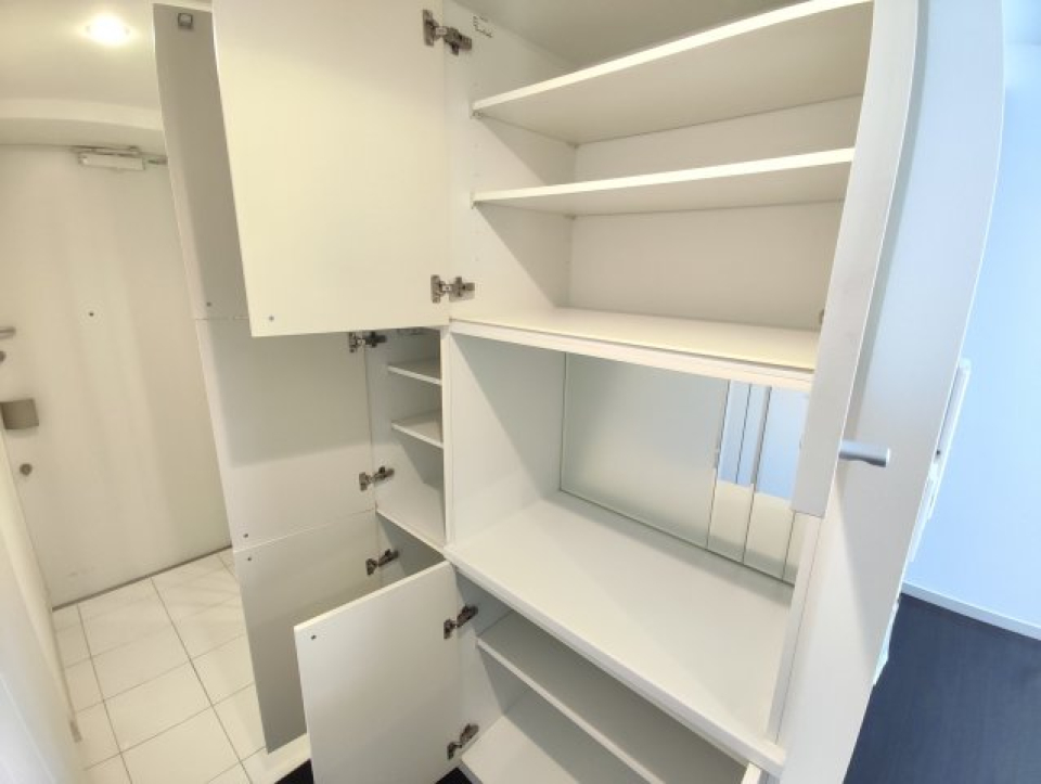 まず玄関入って左手の棚だけでこの量。奥の細長い方が靴収納です。