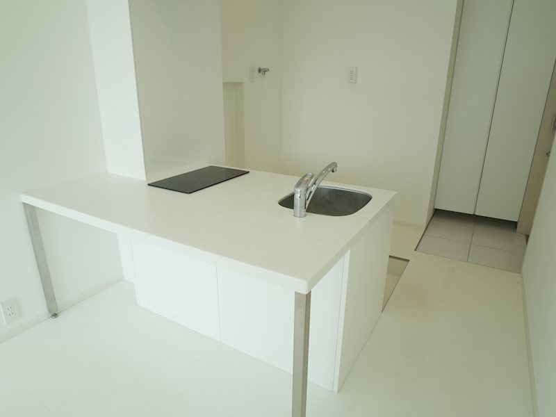 キッチンカウンターでは、お食事だけでなく作業もこなせそう。