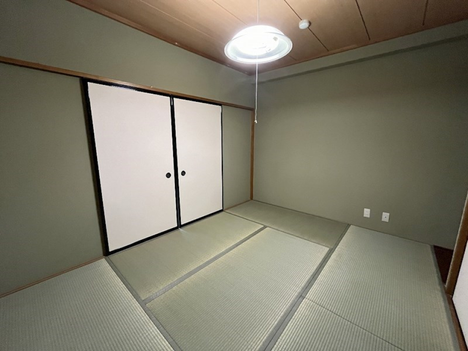 この若草色が趣があっていいですね。