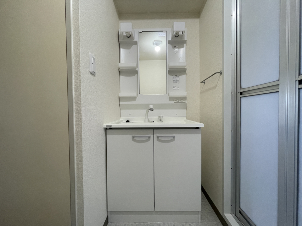 洗面台はシャンプードレッサー付きで朝シャン派も助かる