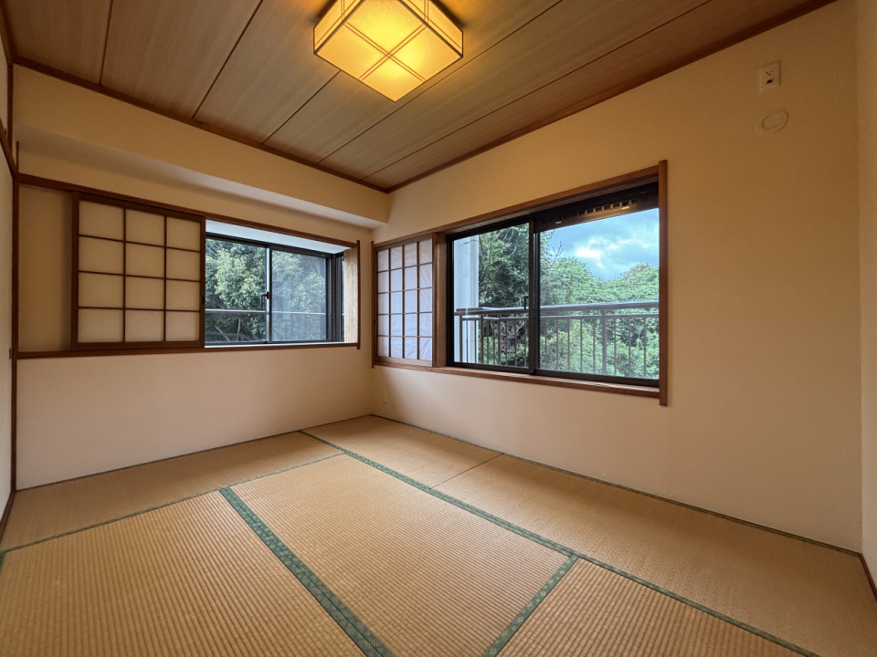 窓から覗く緑が目に優しい