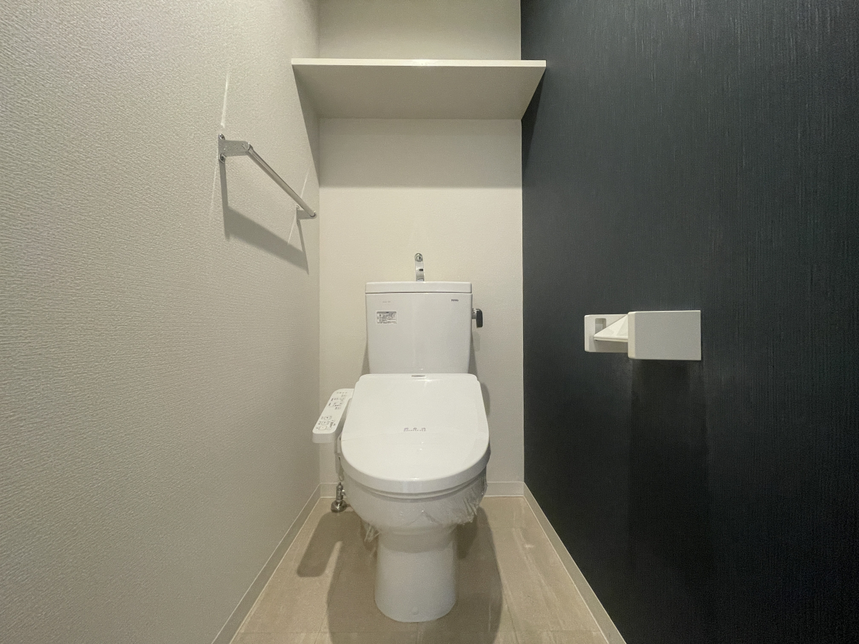 トイレの壁も白と黒。