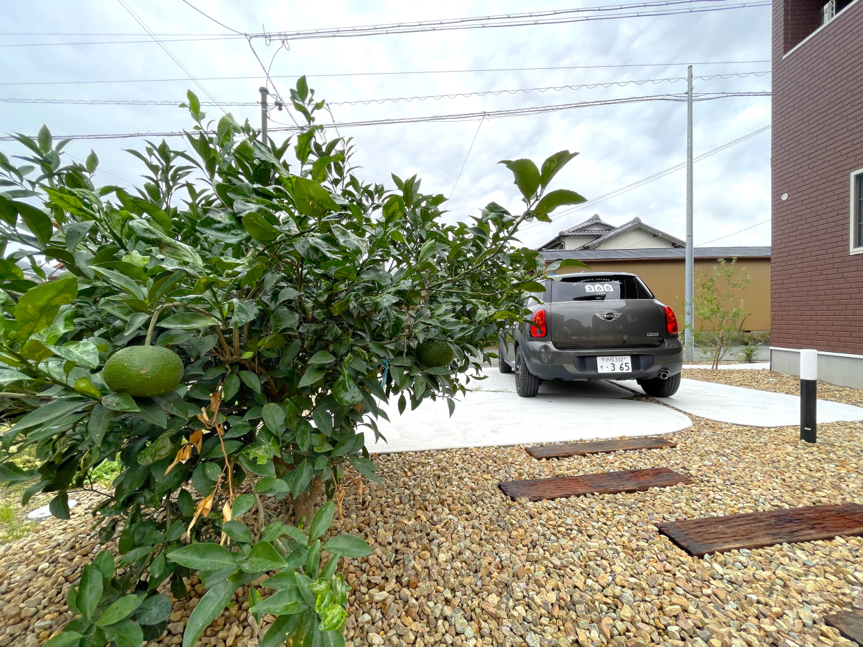 大きな実がなっている柑橘の木。外壁の色に映えて可愛い